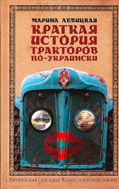 Марина Левицкая Краткая история тракторов по-украински обложка книги