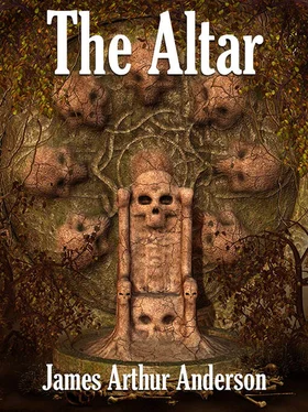 James Anderson The Altar обложка книги