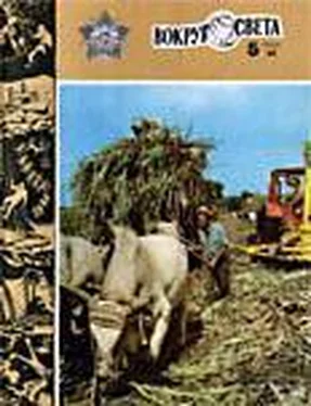 Вокруг Света Журнал «Вокруг Света» №05 за 1984 год