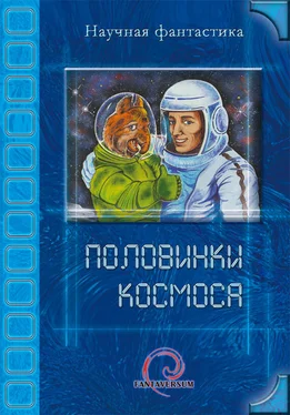Владимир Венгловский Половинки космоса (сборник) обложка книги