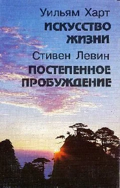 Стивен Левин Постепенное пробуждение обложка книги