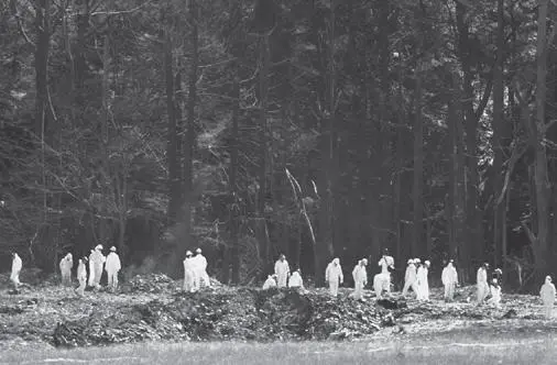 Investigators search the Pennsylvania field where Flight 93 crashed In the - фото 33