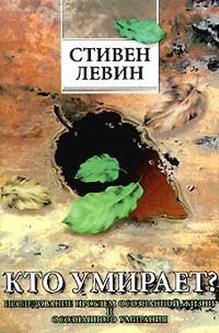 Стивен Левин Кто умирает? обложка книги