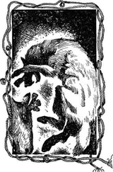 Юрий Пшонкин - Пленник волчьей стаи