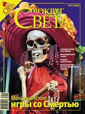 Вокруг Света Журнал «Вокруг Света» №11 за 2008 год обложка книги