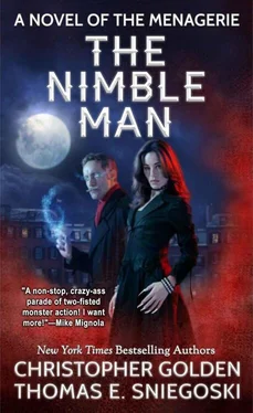 Christopher Golden The Nimble Man обложка книги