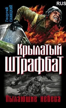 Неизвестный Автор Крылатый штрафбат. Пылающие небеса. обложка книги