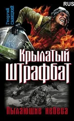 Крылатый штрафбат. Пылающие небеса.