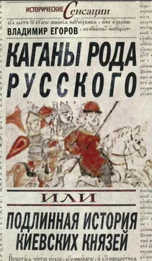 Владимир Егоров Каганы рода русского, или Подлинная история киевских князей обложка книги