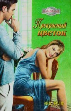 Энн Вулф Прекрасный цветок обложка книги