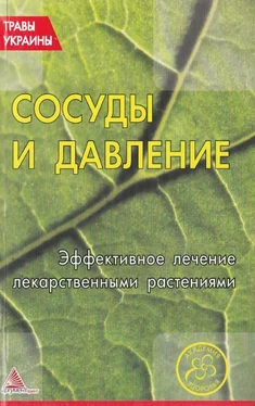 О. Кунаева (сост.) Сосуды и давление. Эффективное лечение лекарственными траиами обложка книги