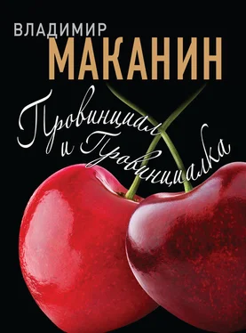 Владимир Маканин Провинциал и Провинциалка обложка книги