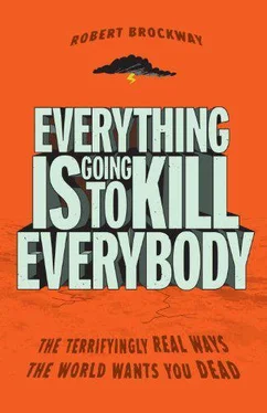 Robert Brockway Everything Is Going to Kill Everybody обложка книги
