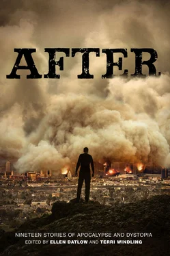 Ellen Datlow After: Nineteen Stories of Apocalypse and Dystopia обложка книги