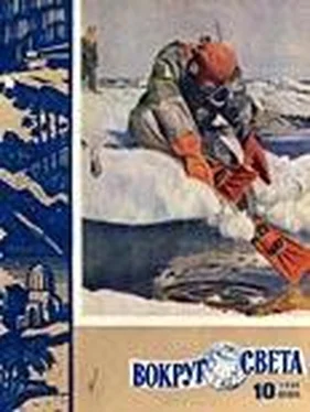 Вокруг Света Журнал «Вокруг Света» №10 за 1960 год обложка книги