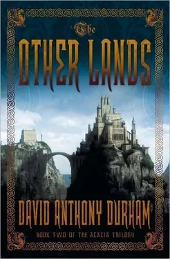 David Durham The other lands обложка книги
