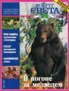 Журнал «Вокруг Света» Вокруг Света 1996 №04