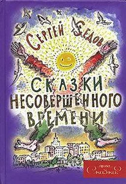 Сергей Седов Сказки несовершенного времени (без иллюстраций) обложка книги