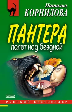 Наталья Корнилова Полет над бездной обложка книги