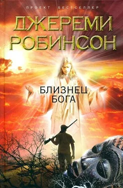 Джереми Робинсон Близнец Бога обложка книги