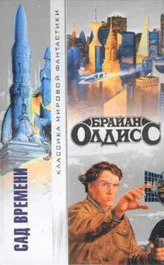 Брайан Олдисс Сад времени обложка книги