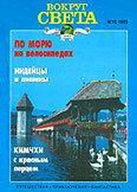 Вокруг Света Журнал «Вокруг Света» №12 за 1995 год обложка книги