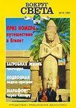 Вокруг Света Журнал «Вокруг Света» №10 за 1995 год обложка книги