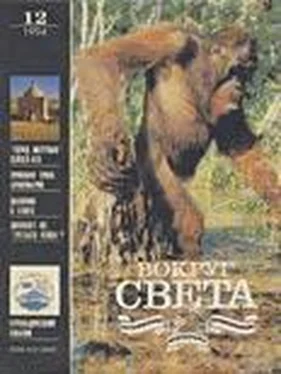 Вокруг Света Журнал «Вокруг Света» №12 за 1994 год обложка книги