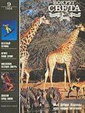 Вокруг Света Журнал «Вокруг Света» №09 за 1994 год обложка книги