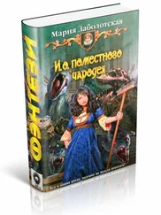 Мария Заболотская - И. о. поместного чародея