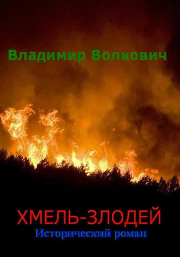 Владимир Волкович Хмель-злодей обложка книги