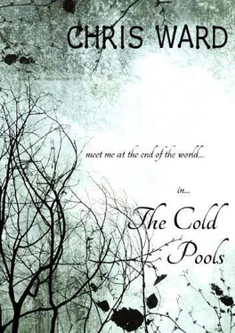 Chris Ward The Cold Pools обложка книги