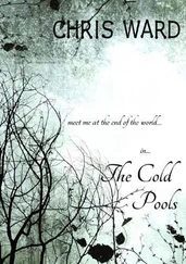 Chris Ward - The Cold Pools