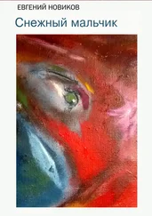 Евгений Новиков - Снежный мальчик