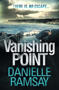 Danielle Ramsay Vanishing Point обложка книги