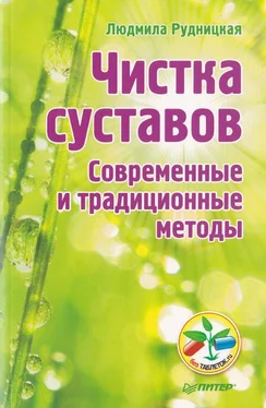 Людмила Рудницкая Чистка суставов. Современные и традиционные методы обложка книги