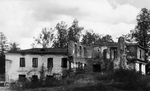 Степень разрушения здания Фотографии сделаны перед началом восстановления - фото 386