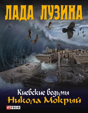 Лада Лузина Никола Мокрый обложка книги