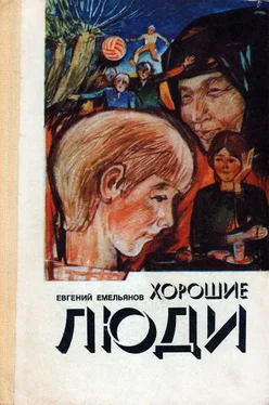 Евгений Емельянов Хорошие люди обложка книги