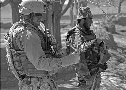 A US Marine left inspects a poppy plant next to an Afghan National Army - фото 14