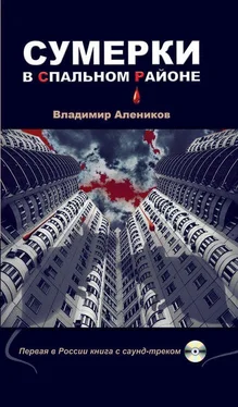 Владимир Алеников Сумерки в спальном районе обложка книги