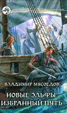 Владимир Мясоедов Избранный путь обложка книги