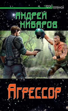 Андрей Нибаров Агрессор обложка книги