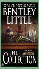 Bentley Little - The Collection