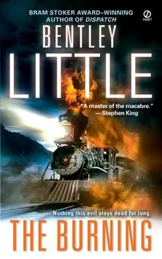 Bentley Little The Burning обложка книги