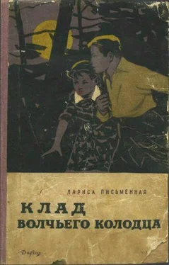 Лариса Письменная Клад Волчьего колодца обложка книги