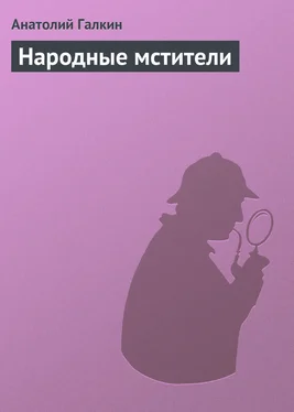 Анатолий Галкин Народные мстители обложка книги