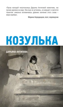 Дарьяна Антипова Козулька обложка книги