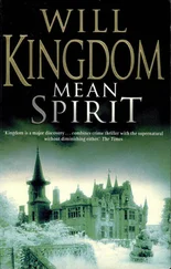 Will Kingdom - Mean Spirit