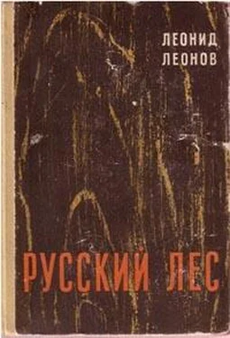 Леонид Леонов Русский лес обложка книги